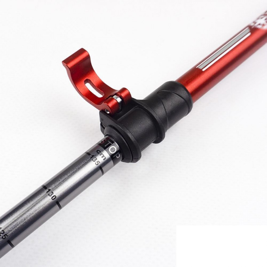 Палки треккинговые Манарага Alpine