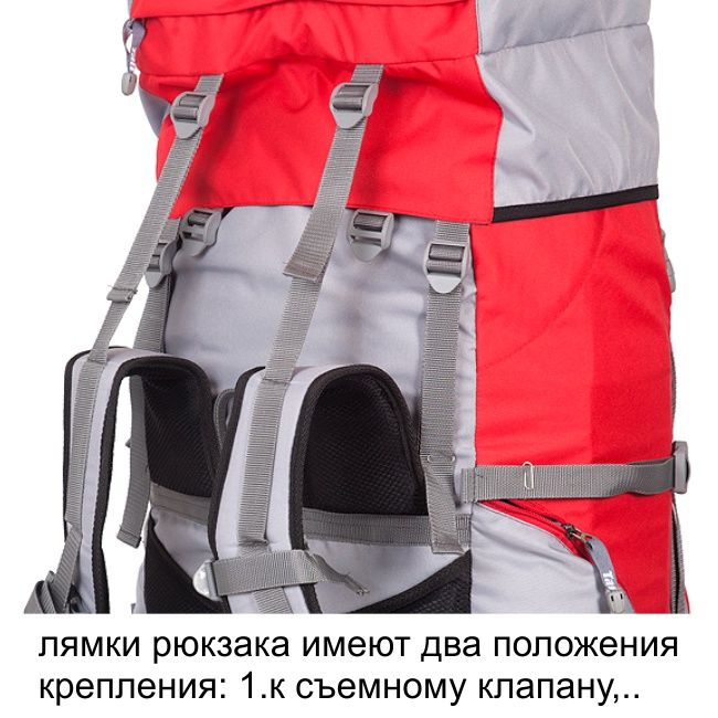 Рюкзак туристический Хальмер 4, с латами, черный-вишня, 65 л, ТАЙФ